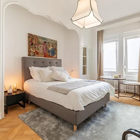 Luxueux Centre * Straatsburg