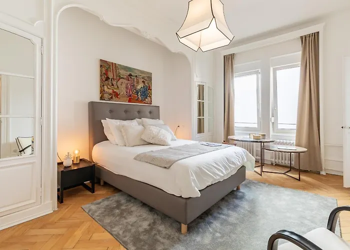 Luxueux Centre * Straatsburg